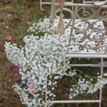 A chair decorated for a wedding.